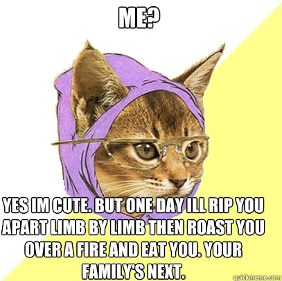 Me? Yes Im cute. But one day ill rip you apart limb by limb then roast you over a fire and eat you. Your family's Next.  Hipster Kitty