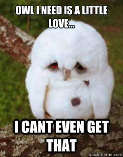 Owl i need is a little love... I cant even get that - Owl i need is a little love... I cant even get that  Sad Owl