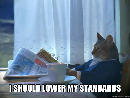  I should lower my standards  The One Percent Cat