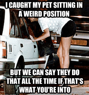 I caught my pet sitting in a weird position But we can say they do that all the time if that's what you're into  Karma Whore