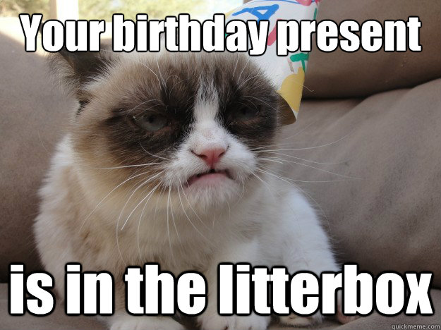 Your birthday present is in the litterbox - Your birthday present is in the litterbox  GrumpyCatBirthday