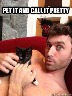 Pet it and call it pretty  