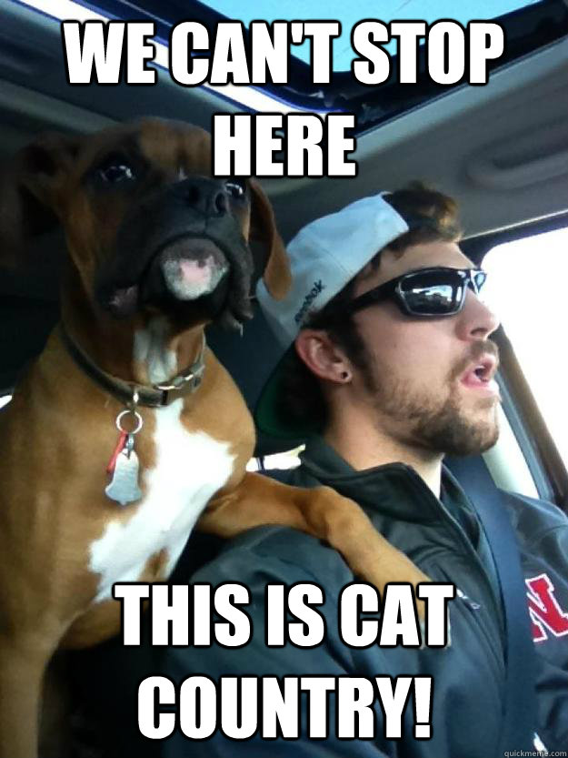 We can't stop here This is Cat country! - We can't stop here This is Cat country!  Misc