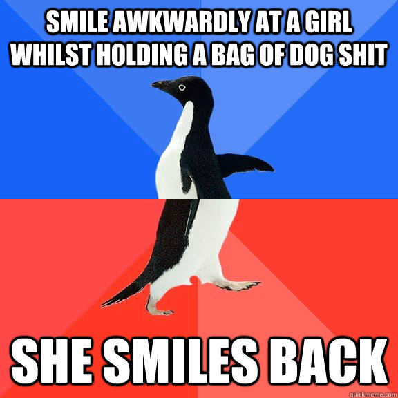 Smile awkwardly at a girl whilst holding a bag of dog shit She smiles back  Socially Awkward Awesome Penguin