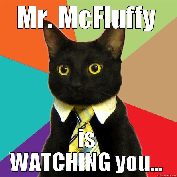 MR. MCFLUFFY IS WATCHING YOU... Business Cat