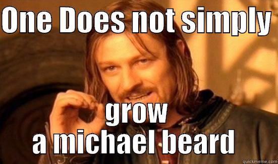 ONE DOES NOT SIMPLY  GROW A MICHAEL BEARD  Boromir