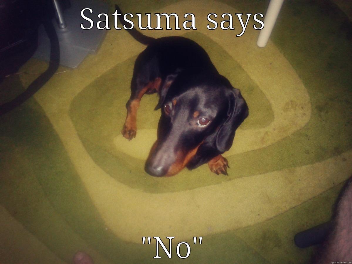 SATSUMA SAYS 