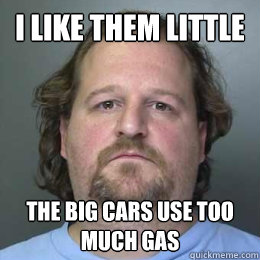 I like them little the big cars use too much gas  