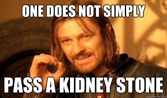 One Does Not Simply Pass a kidney stone - One Does Not Simply Pass a kidney stone  Boromir