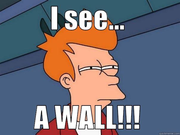 I SEE... A WALL!!! Futurama Fry