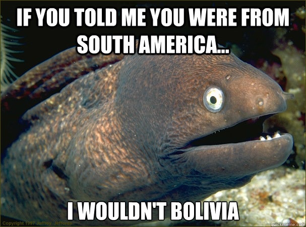 If you told me you were from South America... I wouldn't Bolivia - If you told me you were from South America... I wouldn't Bolivia  Bad Joke Eel