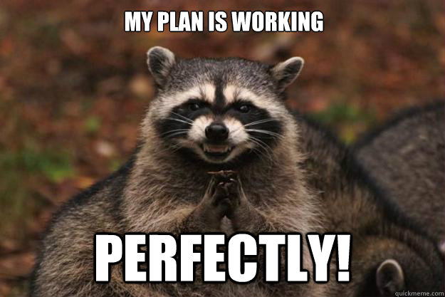 My plan is working PERFECTLY!  Evil Plotting Raccoon