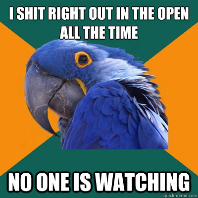 I shit right out in the open all the time no one is watching  Paranoid Parrot