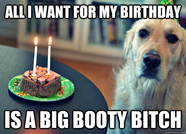 All I want for my birthday is a big booty bitch - All I want for my birthday is a big booty bitch  Sad Birthday Dog