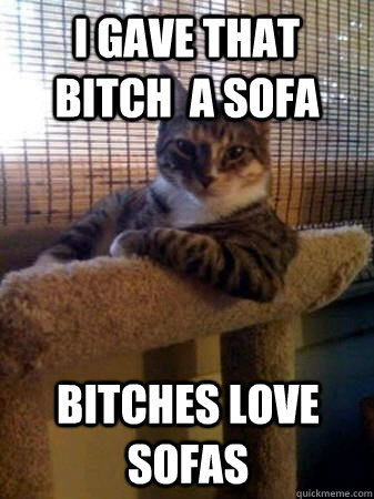 I gave that bitch  a Sofa bitches love sofas  The Most Interesting Cat in the World
