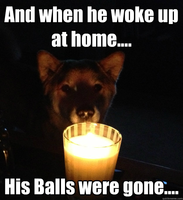 And when he woke up at home.... His Balls were gone....  Scary Story Dog