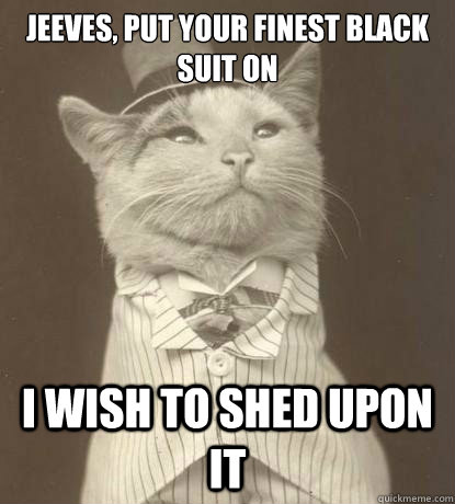 jeeves, put your finest black suit on  I wish to shed upon it  Aristocat