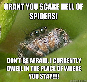 Grant you scare hell of spiders! Don't be afraid. I currently dwell in the place of where you stay!!!!  Misunderstood Spider