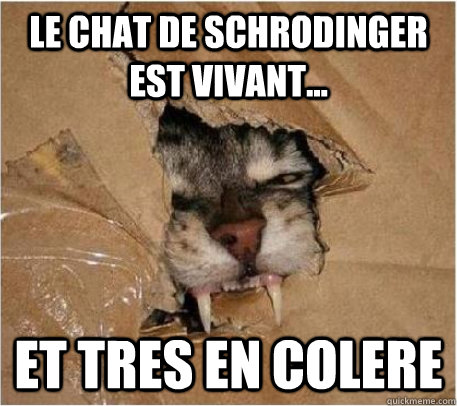 Le chat de schrodinger est vivant... et tres en colere  chat schrodinger