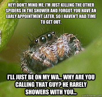 Hey! Don't mind me, i'm just killing the other spiders in the shower and forgot you have an early appointment later, so i haven't had time to get out. I'll just be on my wa... why are you calling that guy? He rarely showers with you...  Misunderstood Spider