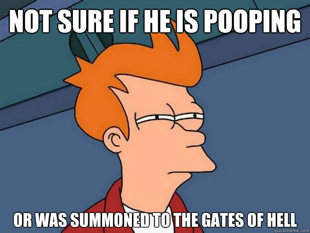 Not sure if he is pooping or was summoned to the gates of hell   Futurama Fry
