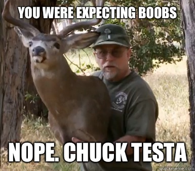 You were expecting boobs nope. chuck testa  Chuck Testa