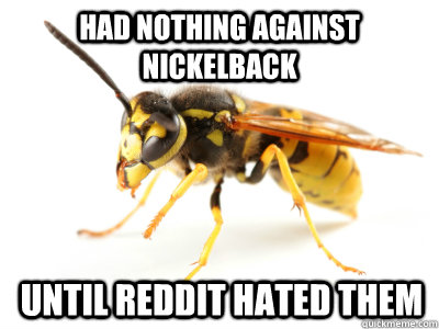 had nothing against nickelback until reddit hated them  Hive Minded Hornet