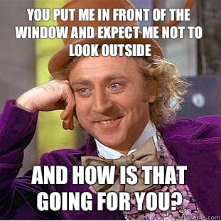 You put me in front of the window and expect me not to look outside And how is that going for you?  Condescending Wonka
