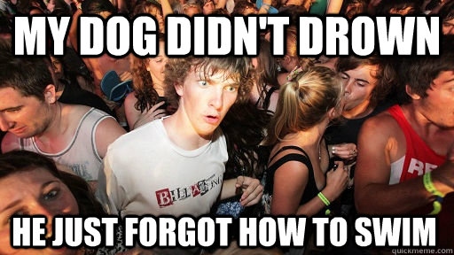 my dog didn't drown he just forgot how to swim  Sudden Clarity Clarence