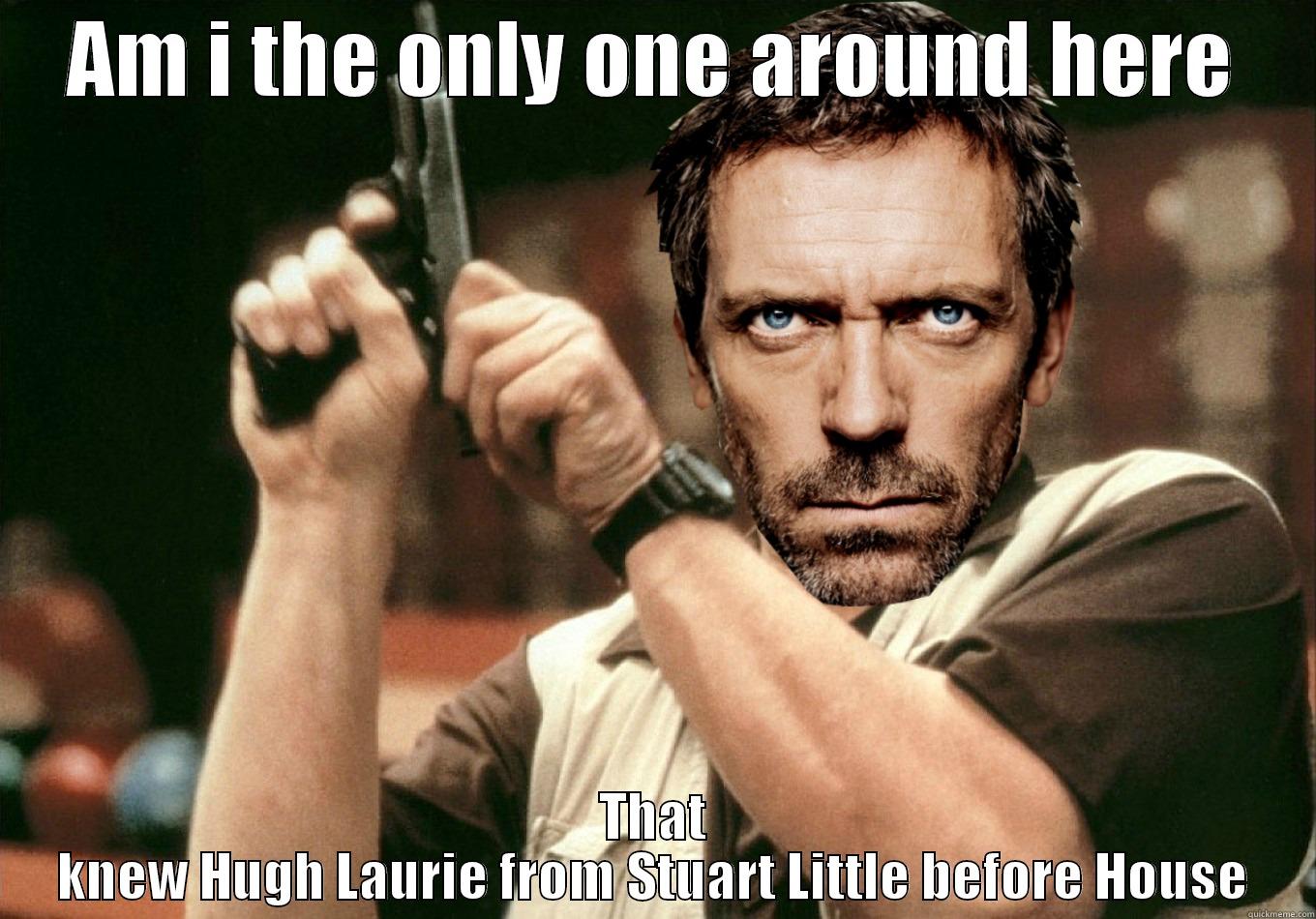 AM I THE ONLY ONE AROUND HERE THAT KNEW HUGH LAURIE FROM STUART LITTLE BEFORE HOUSE Misc