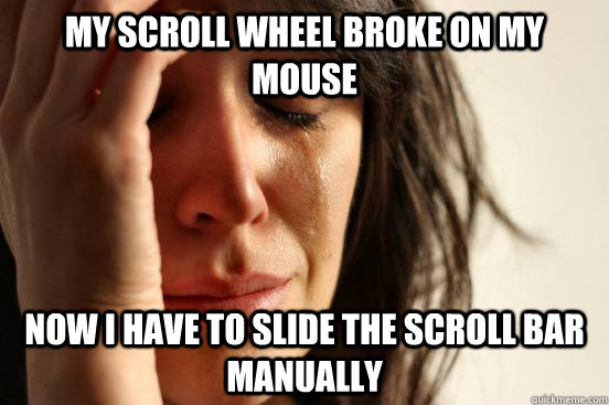 My scroll wheel broke on my mouse Now I have to slide the scroll bar manually  First World Problems