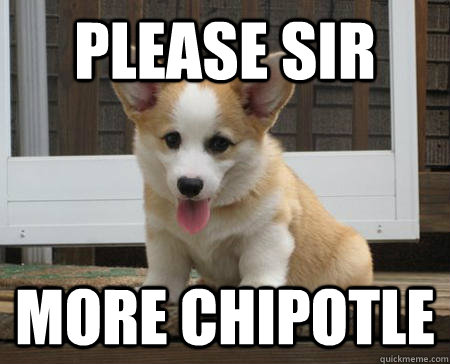 PLEASE SIR more chipotle - PLEASE SIR more chipotle  Corgi