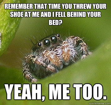 Remember that time you threw your shoe at me and I fell behind your bed? YEAH, ME TOO.  Misunderstood Spider