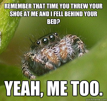 Remember that time you threw your shoe at me and I fell behind your bed? YEAH, ME TOO. - Remember that time you threw your shoe at me and I fell behind your bed? YEAH, ME TOO.  Misunderstood Spider