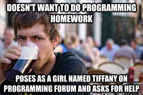 doesn't want to do programming homework poses as a girl named tiffany on programming forum and asks for help  Lazy College Senior