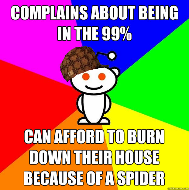 Complains about being in the 99% can afford to burn down their house because of a spider  Scumbag Redditor