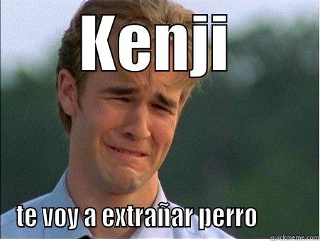 KENJI TE VOY A EXTRAÑAR PERRO          1990s Problems