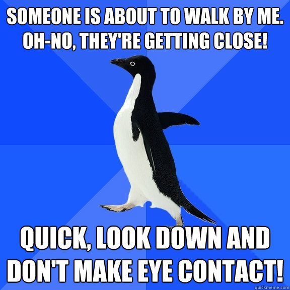 someone is about to walk by me. Oh-no, they're getting close! quick, look down and don't make eye contact!  Socially Awkward Penguin
