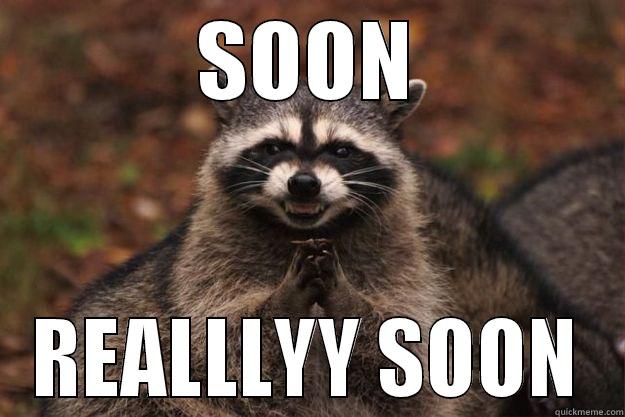 SOON REALLLYY SOON Evil Plotting Raccoon