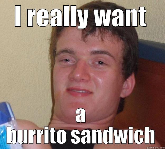 I REALLY WANT A BURRITO SANDWICH 10 Guy