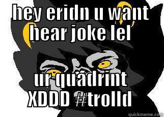 HEY ERIDN U WANT HEAR JOKE LEL UR QUADRINT XDDD #TROLLD Misc