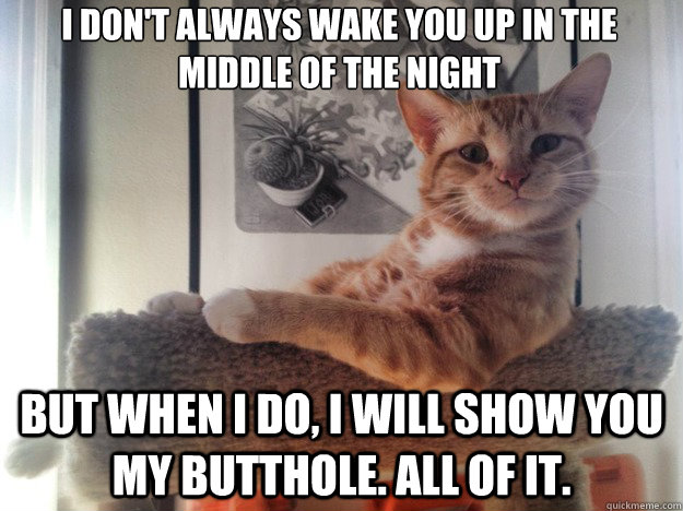I don't always wake you up in the middle of the night But when I do, I will show you my butthole. All of it. - I don't always wake you up in the middle of the night But when I do, I will show you my butthole. All of it.  Misc