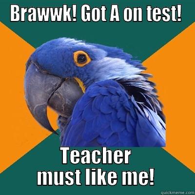 BRAWWK! GOT A ON TEST! TEACHER MUST LIKE ME! Paranoid Parrot