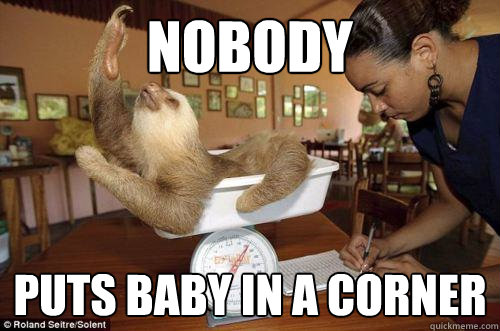 nobody puts baby in a corner  Dramatic Sloth