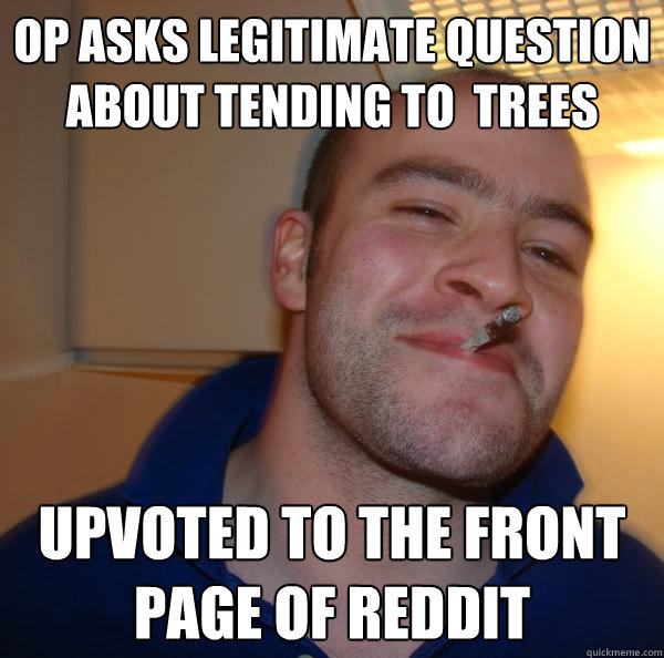OP asks legitimate question about tending to  trees upvoted to the front page of reddit - OP asks legitimate question about tending to  trees upvoted to the front page of reddit  Misc