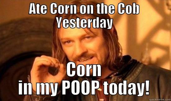 ATE CORN ON THE COB YESTERDAY CORN IN MY POOP TODAY! Boromir