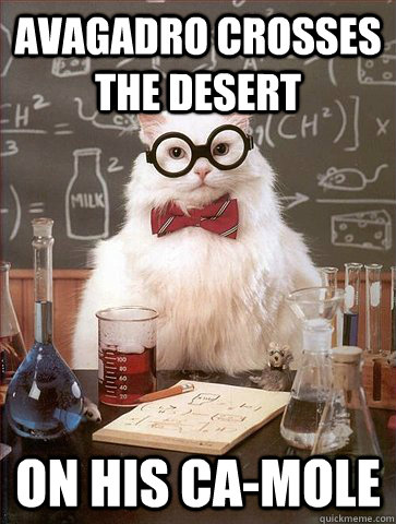 avagadro crosses the desert on his ca-mole  Science Cat