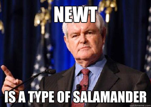 newt is a type of salamander  Scumbag Newt Gingrich
