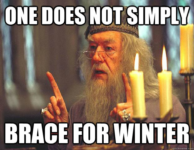 One does not simply brace for winter  Dumbledore