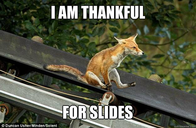 I am thankful  for slides - I am thankful  for slides  Not a single fox was given